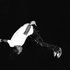 Avatar de chimpunk45