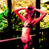 Avatar for sofajerk