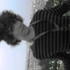 Avatar de DanielKrasner
