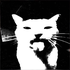 Avatar for aorcls