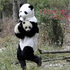 runawaypanda_ さんのアバター