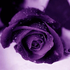 Avatar for saturnine81