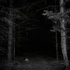 Avatar for SilvaObscura