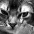 Avatar di gunsaredrawn_