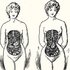 Avatar for thinspiration