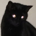 Avatar für Dynastine