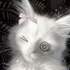 Avatar for b3lovezz