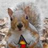 Avatar for snowfly