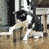Vykos_ さんのアバター