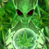 Avatar for Rip2nora