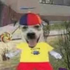 Avatar for Real_Trix