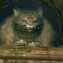 Avatar di amphetaminessss