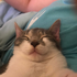 Avatar de Not-Spruce