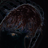 Avatar for jono_thin