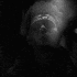 Avatar for lowroars