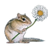 quixxoticelixer için avatar