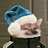 Avatar for Fahecko