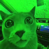 Avatar for sopaipa69