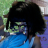 Avatar for preambles