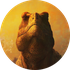 Avatar for Gergely_Katona