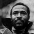 Avatar di Marvin Gaye