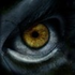 Avatar for ichi-net