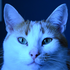 Avatar di Just_Merty