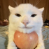 Avatar for HowDoYouSam