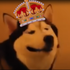 Avatar for kongehund