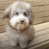 Avatar for fleeglewastaken