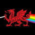 Avatar for Snefru7