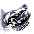 Avatar for bandaladros