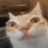 Avatar for comfcomf