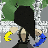 Avatar for roadrider06