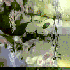 Avatar de hello_91