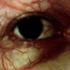 Avatar for fresaenvenena