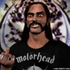Avatar for FolkyMarion
