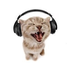 Avatar for n33miaz