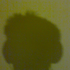 Avatar for Anonymo18