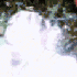 Avatar for golden-sparkle
