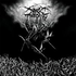 Avatar for Plague-Angel