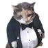 Avatar for mellamoarbaro