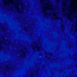 Avatar for nkiann