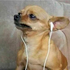 baebuter için avatar