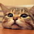 Avatar for Funny_Comrad