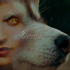 Avatar for Cavelioness