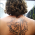 Avatar for cauleal