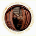 Avatar di SafeAsMilk90