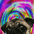Avatar for cold0sk