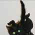 Avatar for RealKingMono